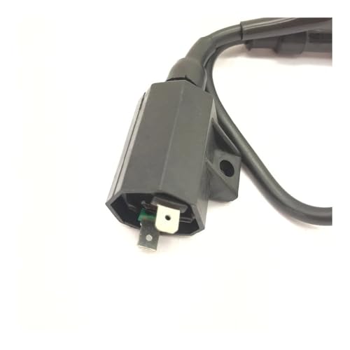 Bobina de encendido de alta durabilidad para sistemas eléctricos de ATV LT-80 4