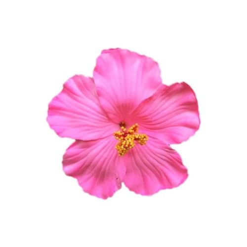 �n���C�A���n�C�r�X�J�X�w�A�N���b�v ���� �w�A�s�� ��/�v�������A�� �w�A�A�N�Z�T���[ �n���C ������ �w�b�h�h���X �t���w�A�N���b�v �ʐ^?