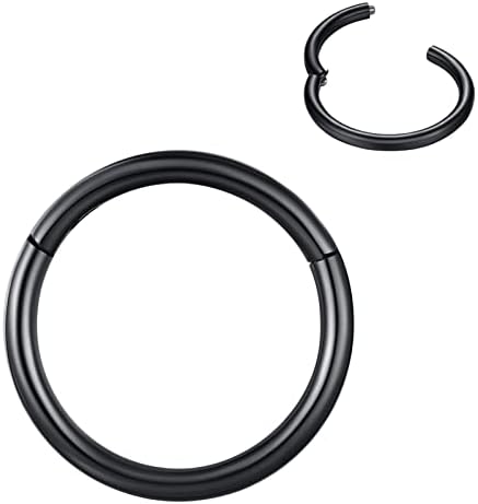 BLESSMYLOVE Nose Rings Hoop 316L Surgical Steel 20G 18G 16G Cartilage Earrings Conch Daith Helix Rook Tragus Lobe Snug Body Piercing Jewelry Stainless Steel Hinged Segment Rings Lip Rings