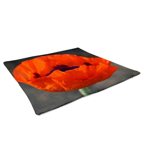 Coussin similicuir blanc toucher cuir coquelicot inclus
