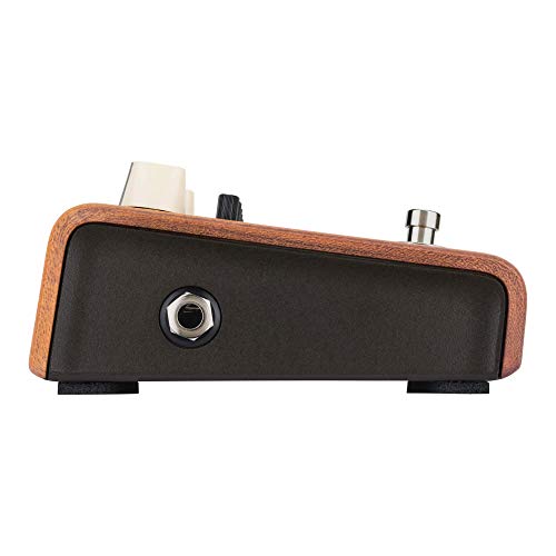 L.R. Baggs Equalizer Align Pédale pour guitare acoustique - Les Beatles, Paul McCartney, John Lennon, RIngo Starr, George Harrison L.R. Baggs Equalizer Align Pédale pour guitare acoustique – Image 5