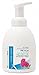 PROVON 18 oz. Floral Antibacterial Soap