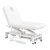 Spa Full Electrical Facial Beauty Bed Spa All Purpose Massage Table Medical Examination Bed with 2 Motors MAR EGEO