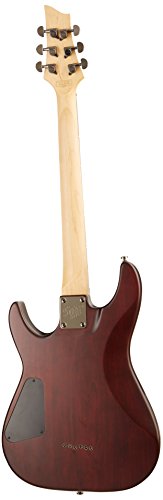 Image of Schecter C-1 SGR by Schecter WSN
