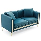 TBGFPO Upholstered Velvet Sofa and Loveseat Tufted Living Room Set Gold Metal Legs with Removable Cu