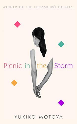 Picnic in the Storm (English Edition)