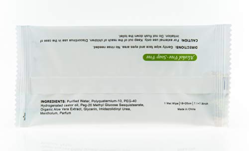 TRAVELWELL-Cleanings-Make-Up-Remover-Wipes-Individually-Wrapped-500-Count-per-Package-Nartural-Fresh-Aloe-Acohol-Free-Travel-Packs-Elderly-Bathing-Hotel-Toiletries-Amenities-Landscape-Series