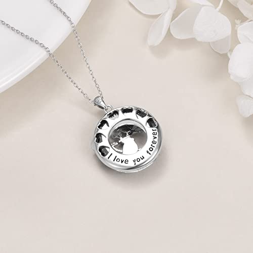 Poplyke Sterling Silver Red Cardinal Pendant Cardinal Necklace Gifts For Women Wit Blue Crystal Jewelry Gifts For Mom (Silver-Two Cardinal Crystal Necklace) #TOP4