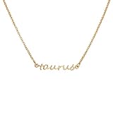 Lux Accessories Taurus April May Bull Horoscope Zodiac Word Pendant Necklace