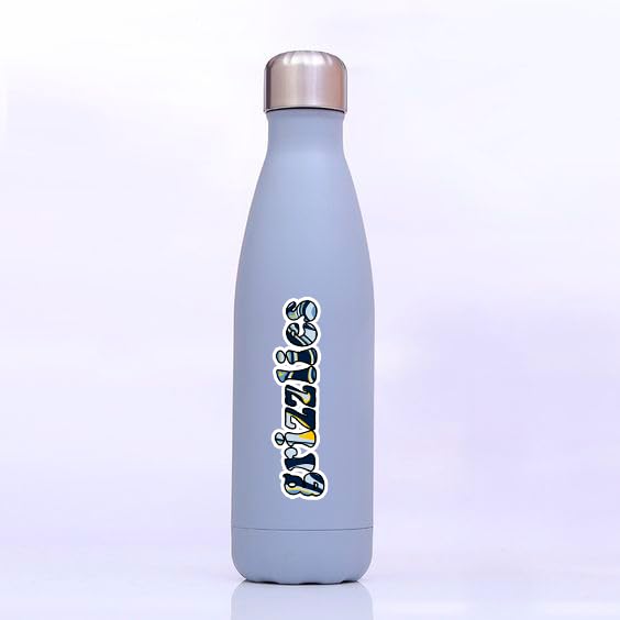 25 PCS Memphis American Grizzlies Basketball Stickers for Water Bottle, Laptop, Bicycle, Computer, Motorcycle, Travel Case, Car Decal Decoration Sticker