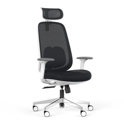 HANCHEN Ergonomic Office Chair with Expanded Lumbar Support & 3D Armrests by HANCHEN - Used condition - US$347.32