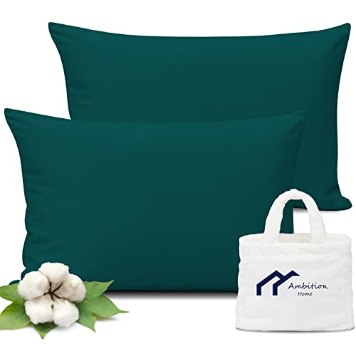 Toddler Pillowcase 14X20 Inches Teal With Zipper Closure Pillowcase Set Of 2 Pc 500 Thread Count 100% Soft & Durable Egyptian Cotton Decorative Travel Pillow Cases 14X20, Teal #TOP13