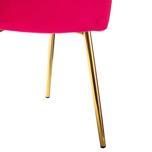 Hulala Home Velvet Dining Chairs, Modern Small Armless Accent Chair With Gold Metal Legs, Living Room Upholstered Cute Side Chair, Elegant Tufted Back Vanity Chair For Bedroom/Beauty Room-Fuchsia #TOP6