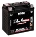Produktbild Batterie BS SLA MAX BTX14HL mit Gel für Harley Davidson 883 XL, XLH (Sportster) speziell für Harley Devidson, vollständig versiegelt, wartungsfrei 12 V 14 Ah