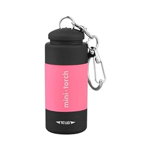 Golovenld Mini-Taschenlampe Rosa USB Schlüsselanhänger