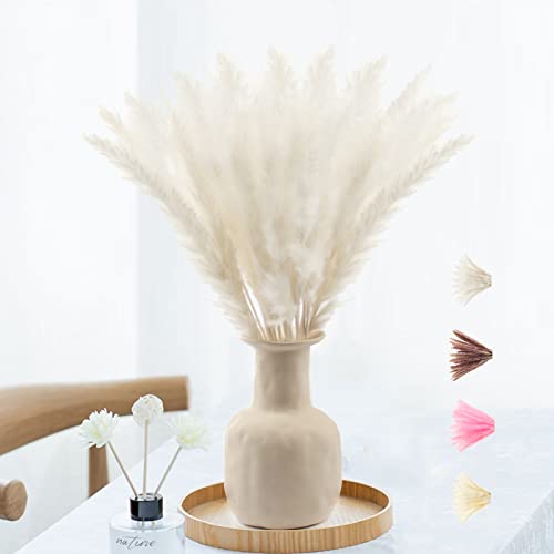 Poiuyoiu Pampasgras Weiß Pampasgras Getrocknetes Natürlicher 30 Stück Pampasgras Klein Weiß Trockenblumen Klein Deko Pampasgras Deko für deko Schlafzimmer, Herbst deko(43-45cm) Cover
