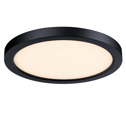Westinghouse Indoor/Outdoor Flush Mount Ceiling Light