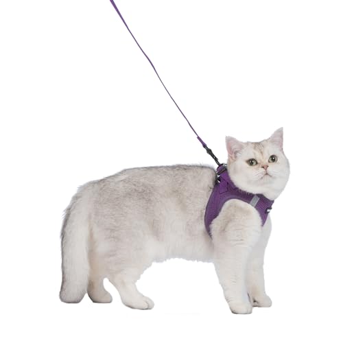 Image of Voyager Step-in Pet Harness - All Weather Mesh, Adjustable Step in Harness for Cats and Dogs by Best Pet Supplies - 307S Purple, XXS