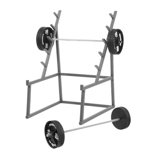 TOYANDONA Mini Dollhouse Barbell Set - 3Pcs Fitness Decor with Barbell Rack and Dumbbells, Realistic Weightlifting Model for Doll House Decoration