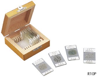 Amazon.co.jp: ケニス 岩石プレパラート 5種 (R5P) (1-147-759) 偏光