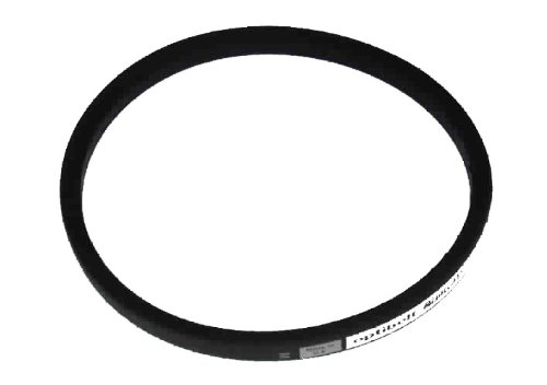 Atco/Qualcast/Suffolk Punch F016T40787 - Cinghia