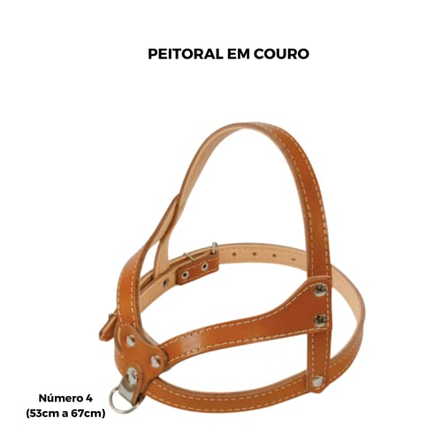 Coleira Peitoral Em Couro Reforçada Regulável Luxo Cachorro N.4/5/ 6 (4, Caramelo)