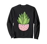Cute Kawaii Succulents for Plant Lover