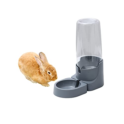 Top 10 Best Rabbit Water Bottle of 2021 Review Best Pet Pro