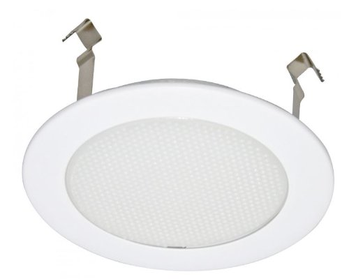 4" Inch Recessed Can Light 50W/Par20 Frosted Glass Albalite Shower Trim #TOP1