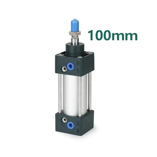 Cylindre pneumatique double action à course de 100mm pour guidage précis