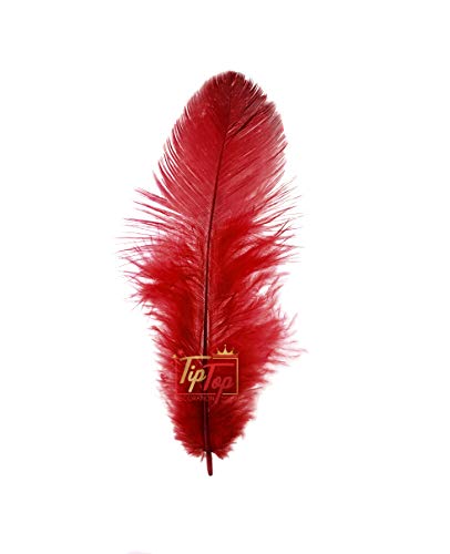 Image of Natural Dyed Feathers 10 cm (80 pieces) (Maroon)