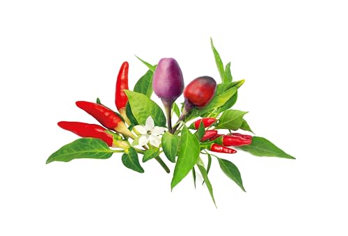 Click and Grow Smart Chili Pepper Plant Pod Mix, 9-Pack