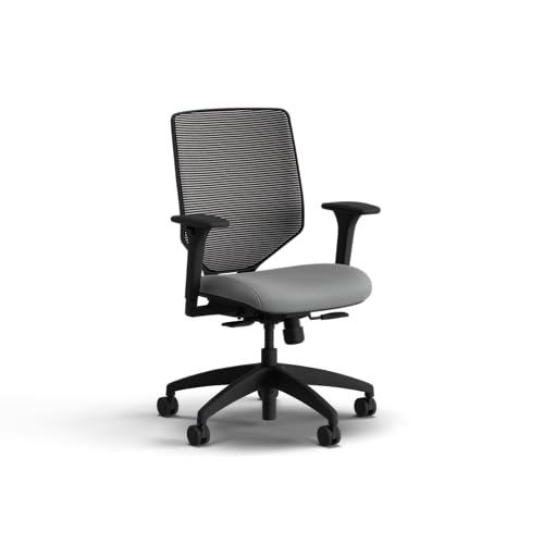 Image of HON Solve Office Chair, Ergonomic Office Chair Mesh Back Support, Adjustable Lumbar Support, Height Adjustable Arms, Black Frame, Frost