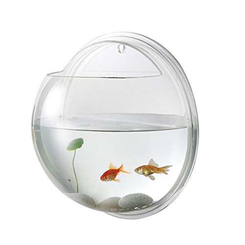 POPETPOP Aquarium à poisson rouge - Vase mural à suspendre en acrylique - Décoration d'intérieur - 15 cm de diamètre