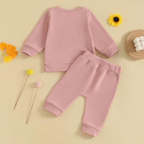 Infant Baby Girl Fall Outfit Daddy's Girl Letter Print Long Sleeve Pullover And Pants 2 Pcs Set for Toddler4