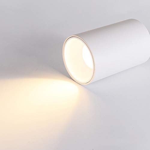 Downlight LED Plafonnier réglage multi angle spot plafond compact 5V