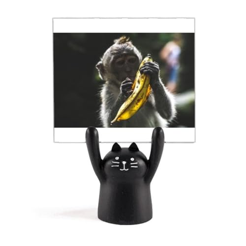Meme chat noir deco animal singe rigolo - Presse-papier figurine humour