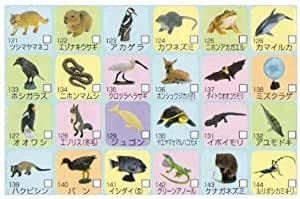 フルタチョコエッグ日本の動物コレクション第5弾24種☆海洋堂 Amazon.co.jp: 海洋堂 チョコエッグ 日本の動物コレクション 第5