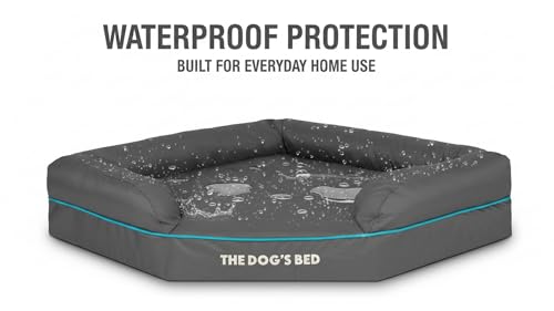 The Dog's Bed Orthopädisches Hundebett mit Memory-Schaum, Wasserdicht, Groß, Grau und Blau, lindert Arthritis und Hüftdysplasie, Therapeutisch und Unterstützend, Waschbar, Tierärztlich Geprüft