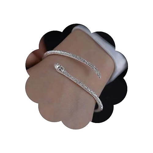 Wendalern Silbernes Schlangenarmband Offenes Verstellbares Bypass-Armband Lustiges Biegsames Schmuck Für Frauen Mädchen