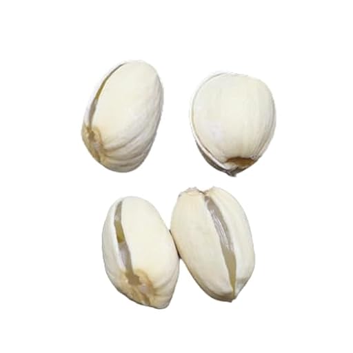 Nicear Kit de trucos de magia de pistacho: ilusiones de primer plano, trucos de mentalismo, accesorios para principiantes y profesionales | Ya disponible en tu tienda friki favorita! En mundofriki.es!