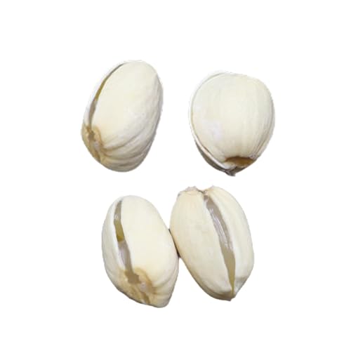 Nicear Kit de trucos de magia de pistacho: ilusiones de primer