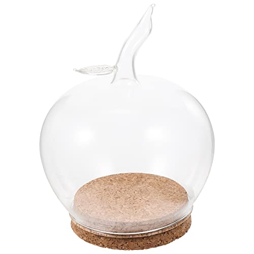 COHEALI Décor en Verre Globe Verre De Ferme Vase Plante Aquatique Vitrine De Pots Décoratifs Pot De Terrarium Pommes Vase à Fleurs Écran D'affichage en...