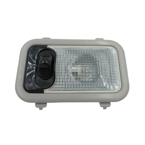 Luz de lectura del techo para BYD F0 que soluciona la falta de claridad interior
