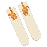 Bawiaueu 1 Par De Calcetines Divertidos Para Gatos Con Huevos - Calcetines Gatos Mujer Divertidos, Novedosos Y Bonitos Calcetiness De Gato, Gatito Algodón Estampado Animal, Para Esposa Madre Amigas