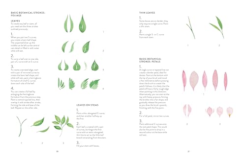 New Botanical Painting