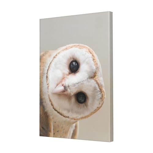 Impression sur toile hibou amusant pour égayer votre salon ou bureau moderne