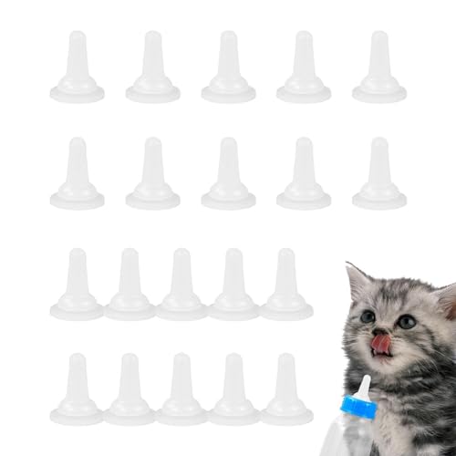 qL̎p - 20 ybg{gėp\ȃybgVR[{gqL~Nނ߂̓VefBxAa ybgp~j񋋉aLbg 20  - ybgA܂ꂽ΂̎qLApԂ