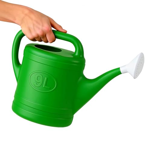 TECHZOCO Regadera de plástico, Regadera para Interior y Exterior, regadera de jardín, Diseño con Pico, Accesorio de riego, Asa de Transporte, Cabezal Efecto Lluvia, Verde, 9 litros