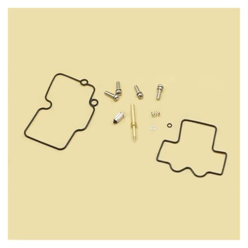 Kit réparation carburateur WR450F WR250F résout fuite essence et démarrage
